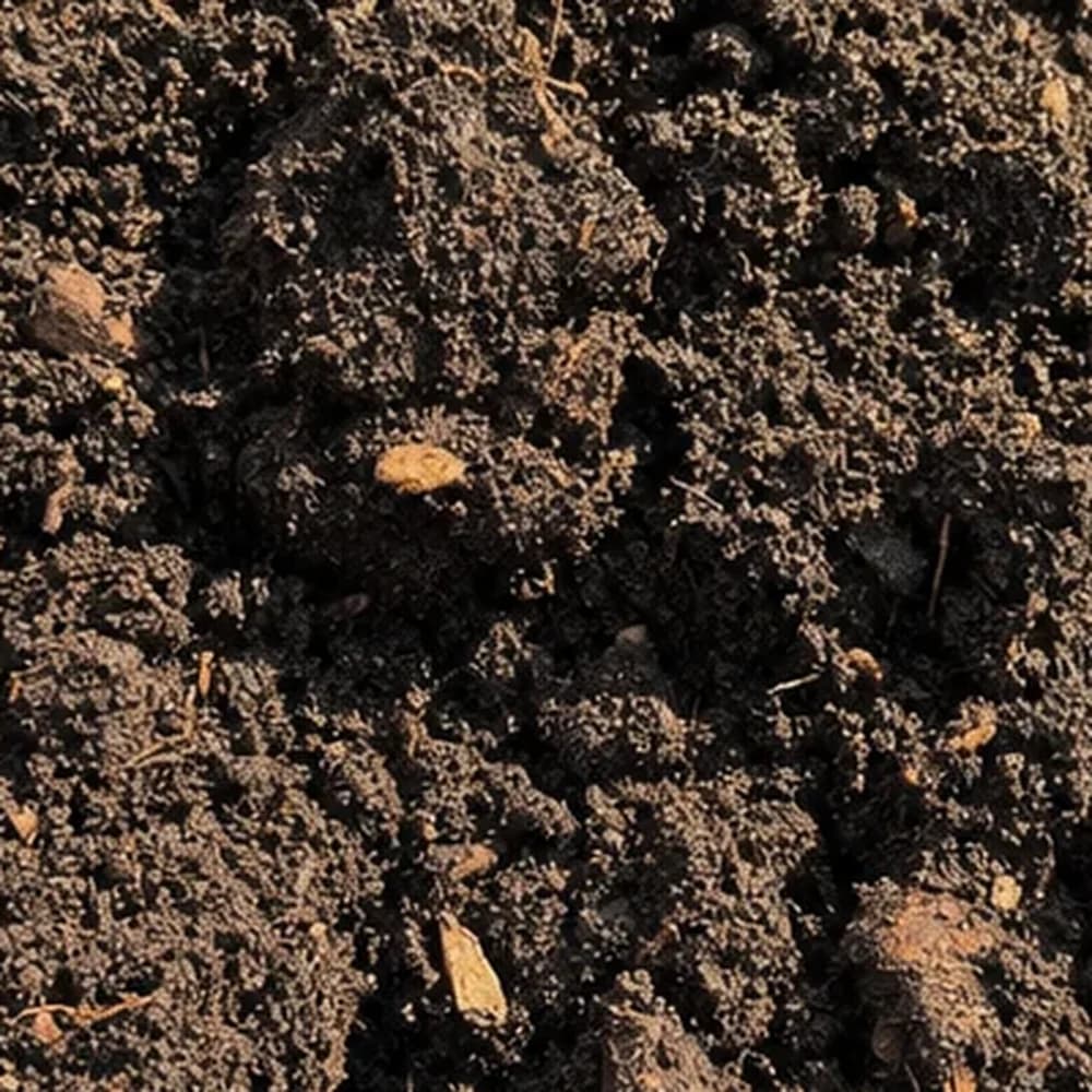 Garden Soil